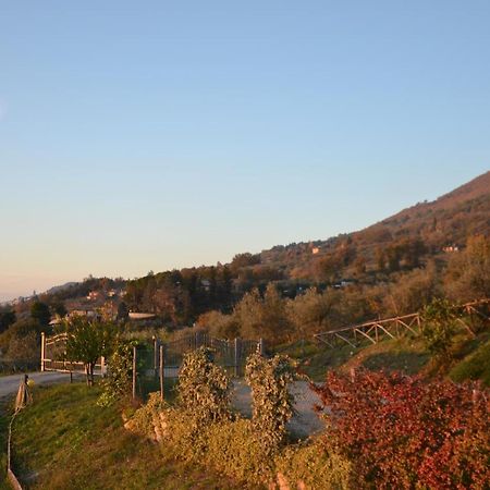 אסיסי Locazione Turistica Villa Delle Rose מראה חיצוני תמונה
