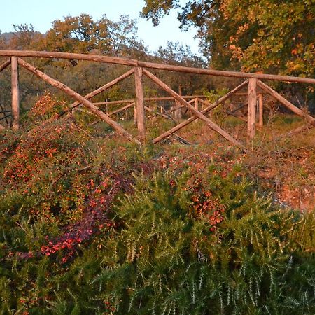 אסיסי Locazione Turistica Villa Delle Rose מראה חיצוני תמונה