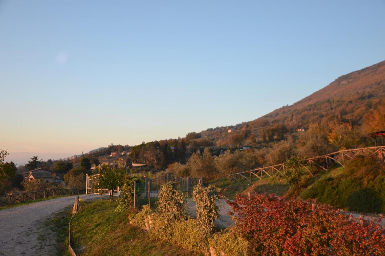 אסיסי Locazione Turistica Villa Delle Rose מראה חיצוני תמונה