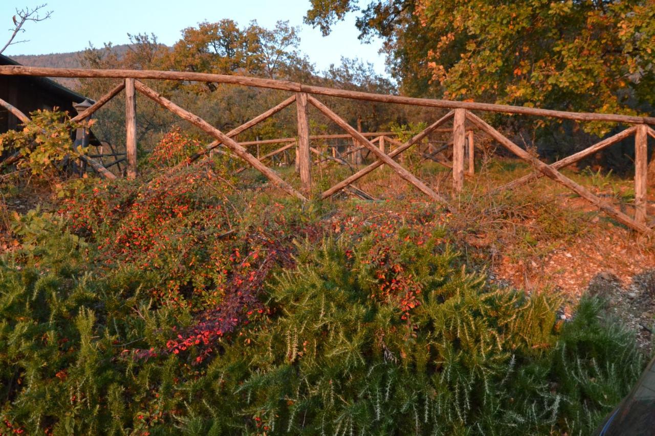 אסיסי Locazione Turistica Villa Delle Rose מראה חיצוני תמונה