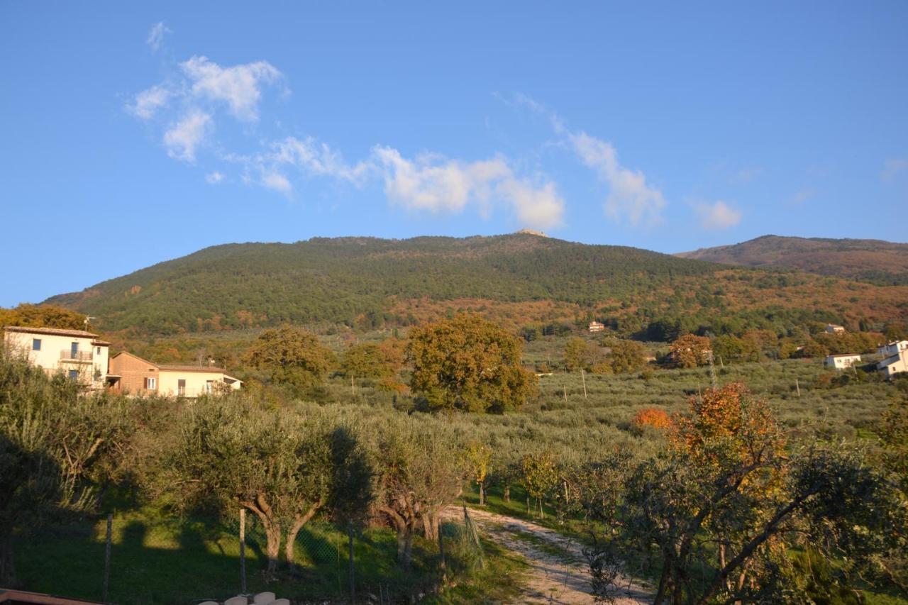 אסיסי Locazione Turistica Villa Delle Rose מראה חיצוני תמונה